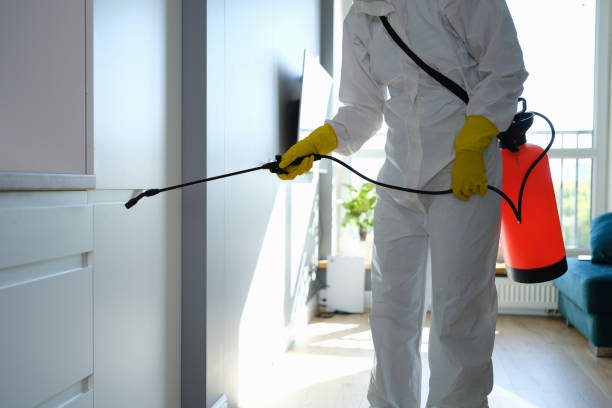 Best Mold Cleaning Services  in Massanutten, VA
