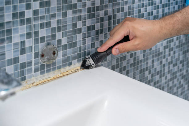 Home Mold Removal in Massanutten, VA