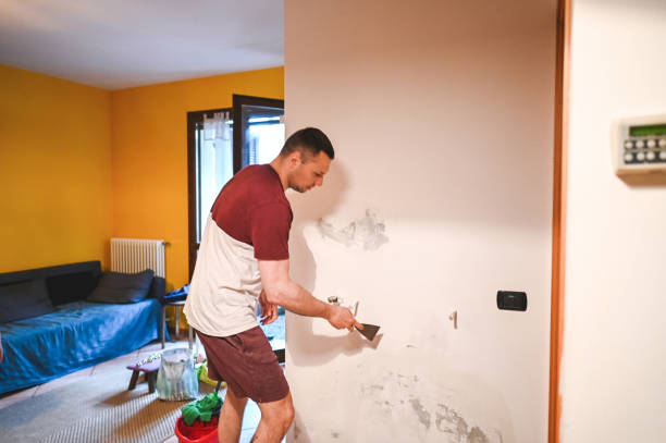 Best Commercial Mold Removal  in Massanutten, VA